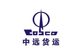 华南中远国际货运有限公司